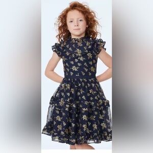 Janie and Jack Navy The Sparkle Holiday Dress
